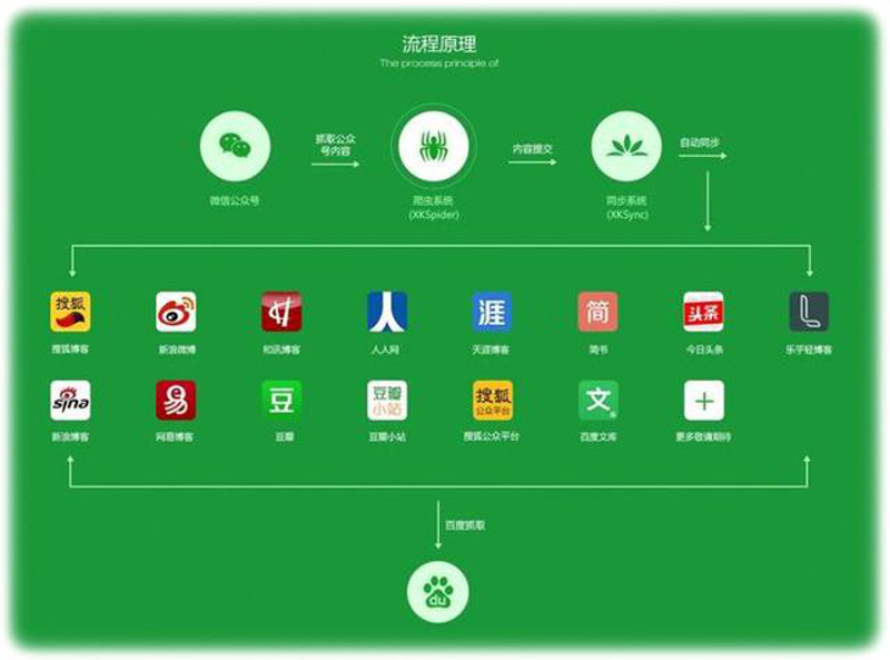 合肥文化传媒公司的故事：从零到一的探索
